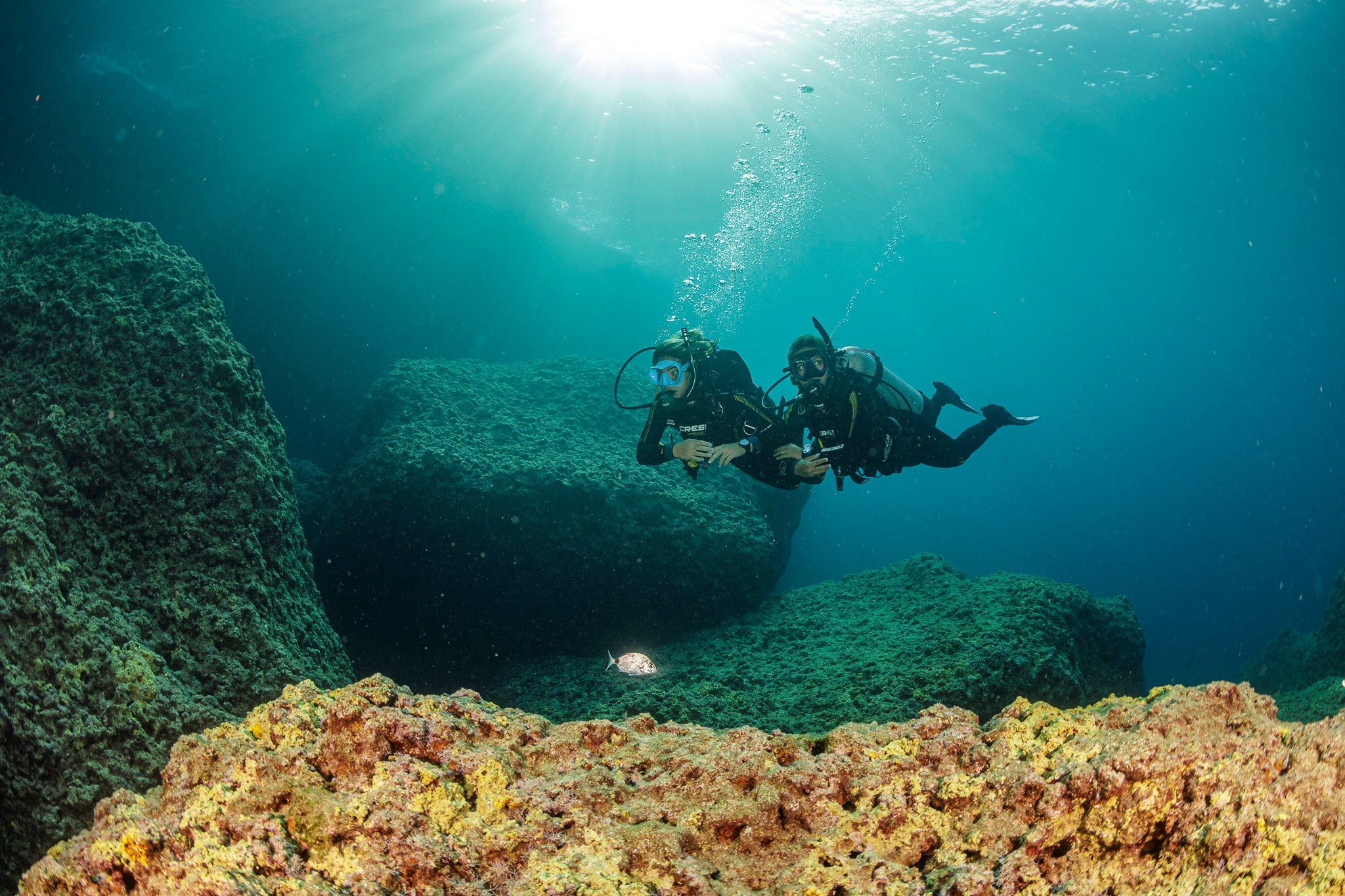 Dive Trips from Chania, Crete