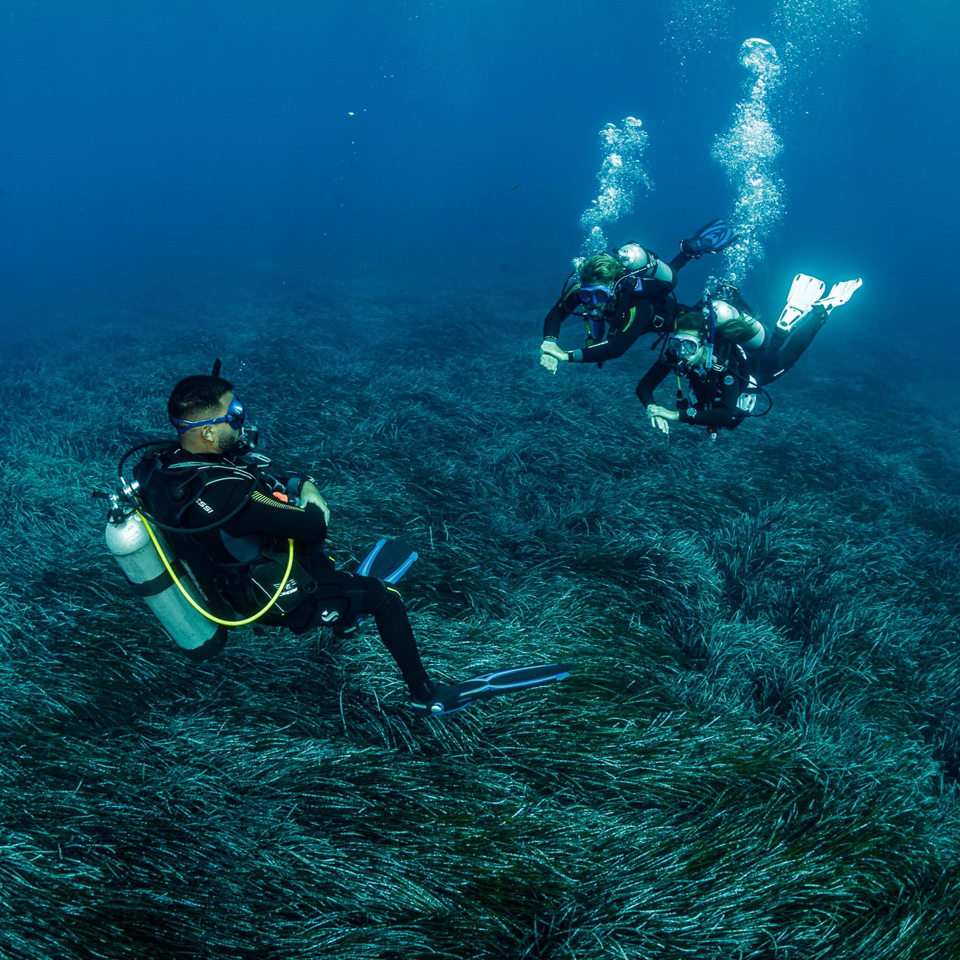 PADI Open Water Diver Course (from Crete)
