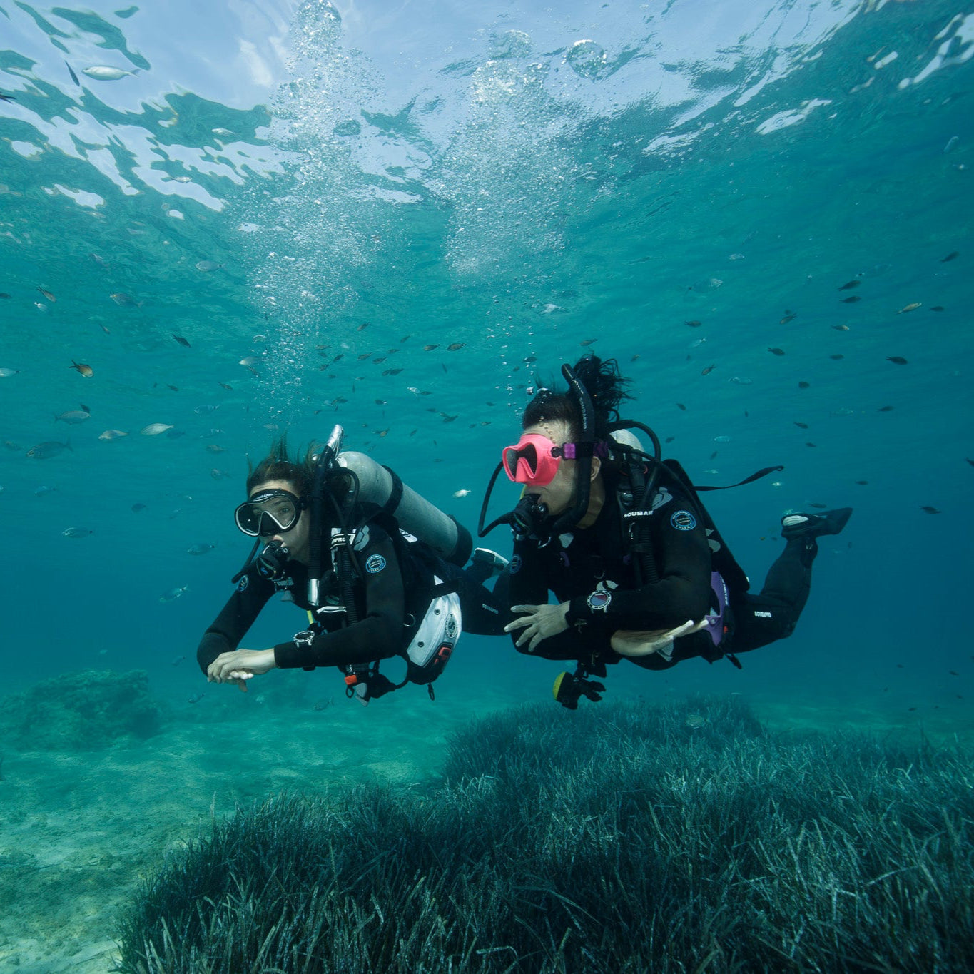 CHANIA - Discover Scuba Diving (from Crete)