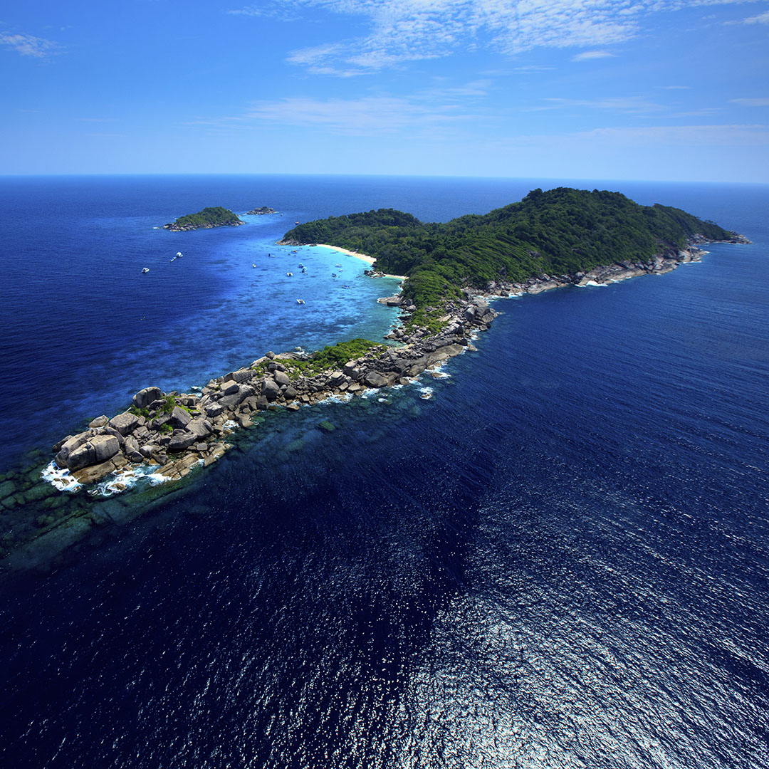 SIMILAN - Snorkeling Safari (from Khao Lak) – Raya Divers